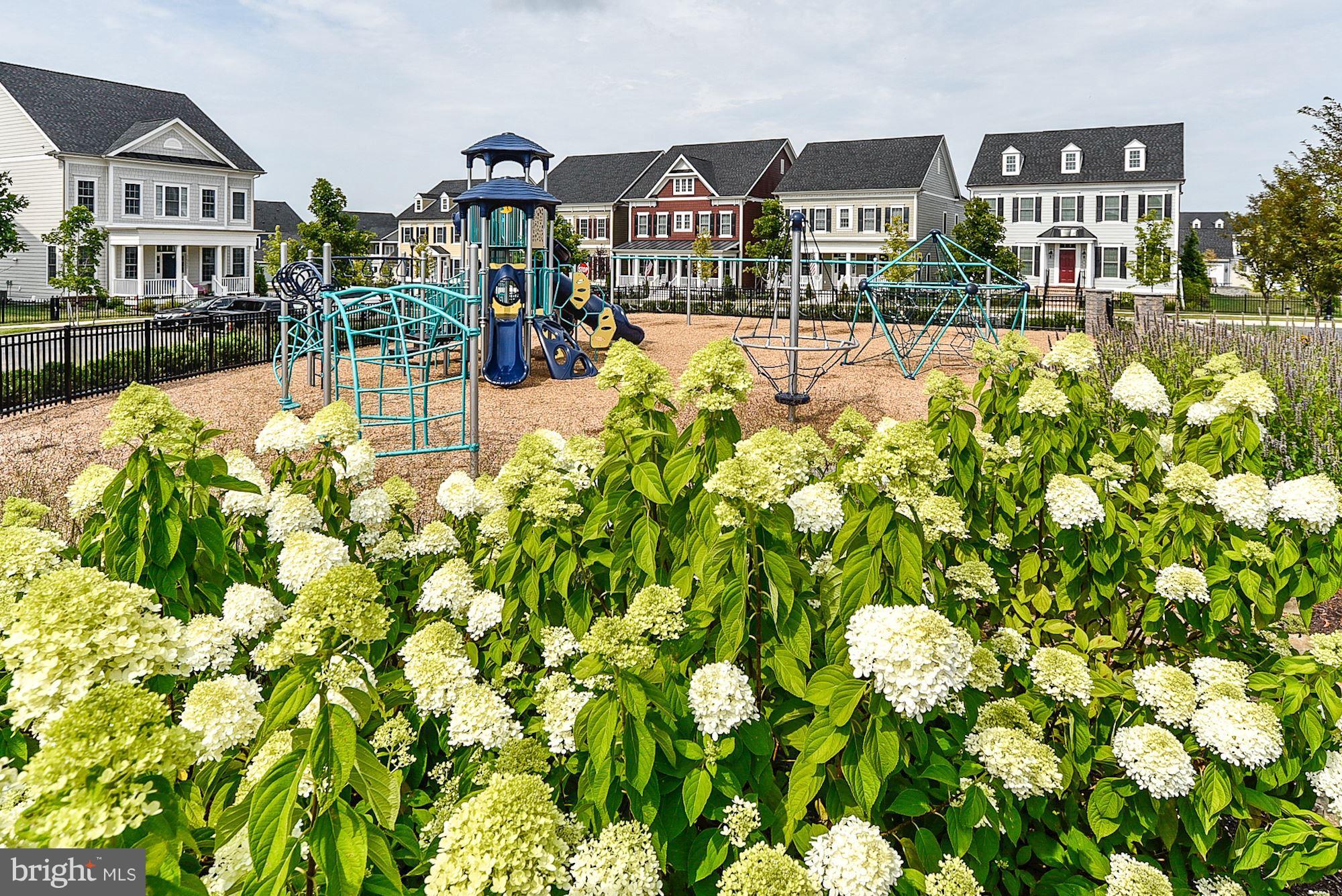 MAPLE LAWN - Residential Lease