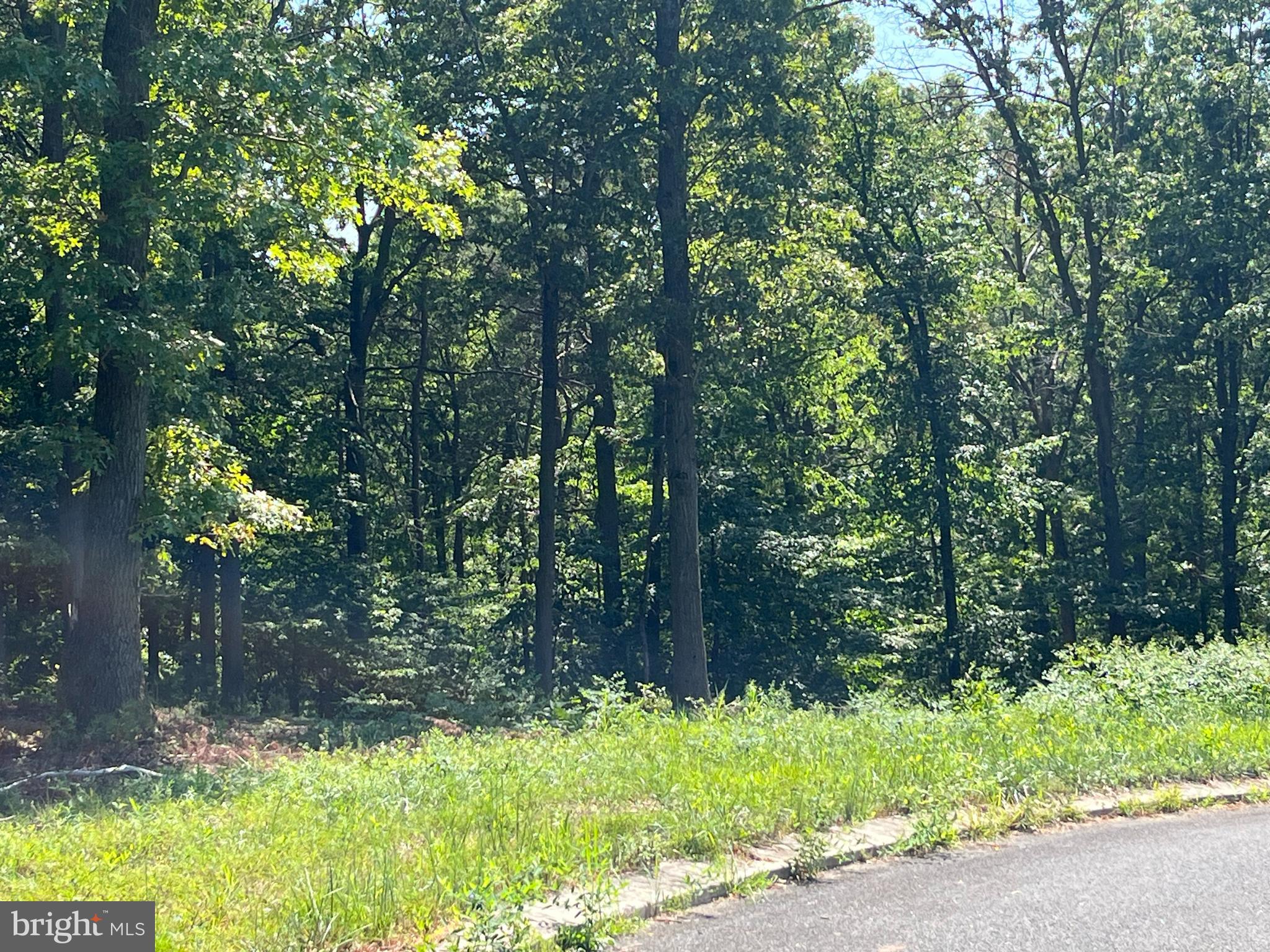 Finished wooded lot at end of cul-de-sac  in a small subdivision adjacent to the MD/PA line.  Perc approved for sand mound.  Well at site.