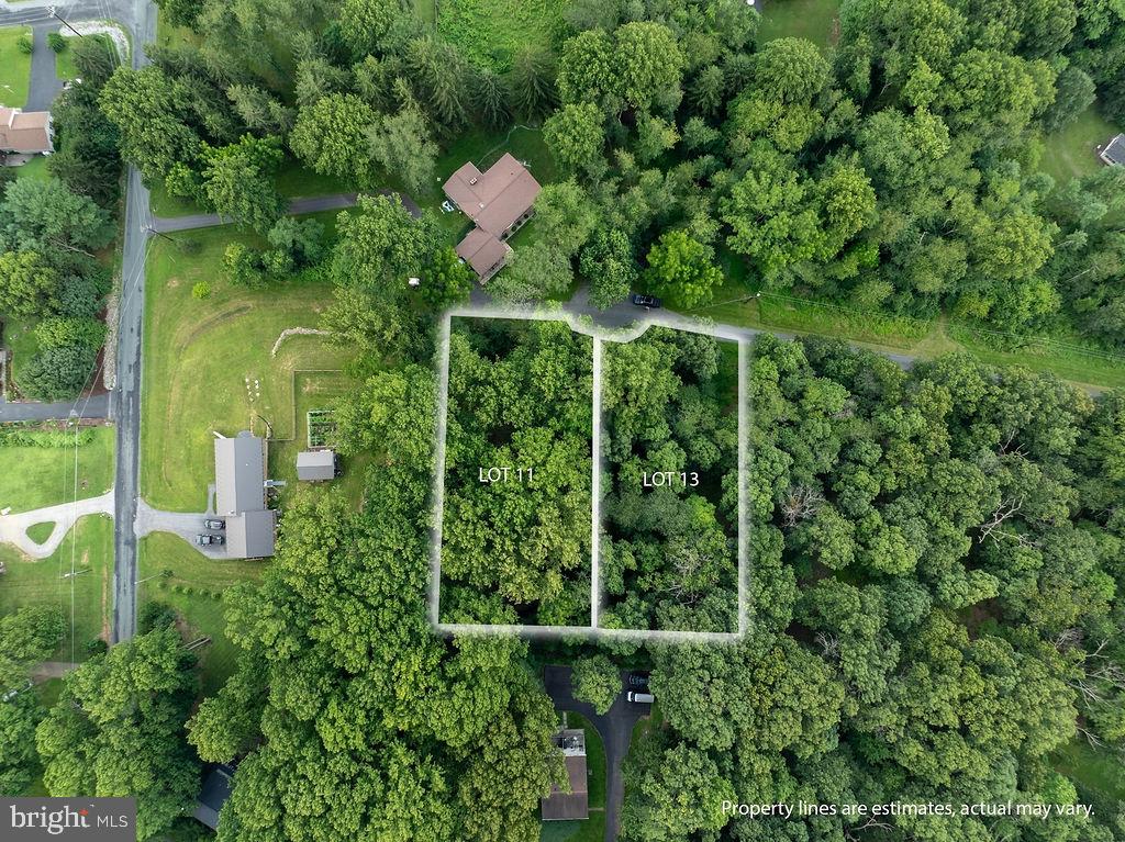 Carroll Valley Borough – .99 Acre Double Lot on cul de sac. Approved septic design for a 3BR home. Cleared and ready to go, this rural setting offers the perfect opportunity to build your dream home. Just minutes from Carroll Valley Resort and Liberty Mountain, enjoy the balance of peaceful surroundings with 20 year old Japanese Cedars most over 20 feet tall surrounding the premises along with nearby recreation. Spacious double lot provides room to spread out while remaining close to conveniences and commuter routes.  11 Mary Ann Trail lot size is .52 and 13 Mary Ann Trail lot size is .47.
