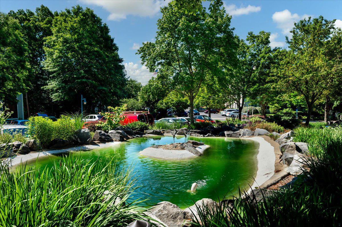 SOLOMONS LANDING - Residential