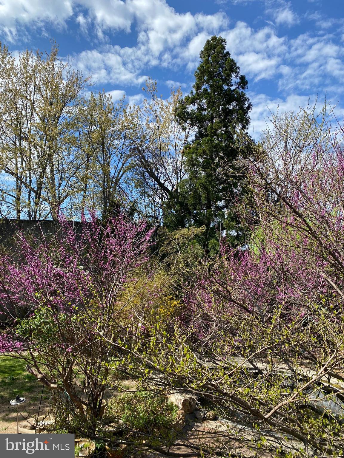 FOX MEADOW - Residential