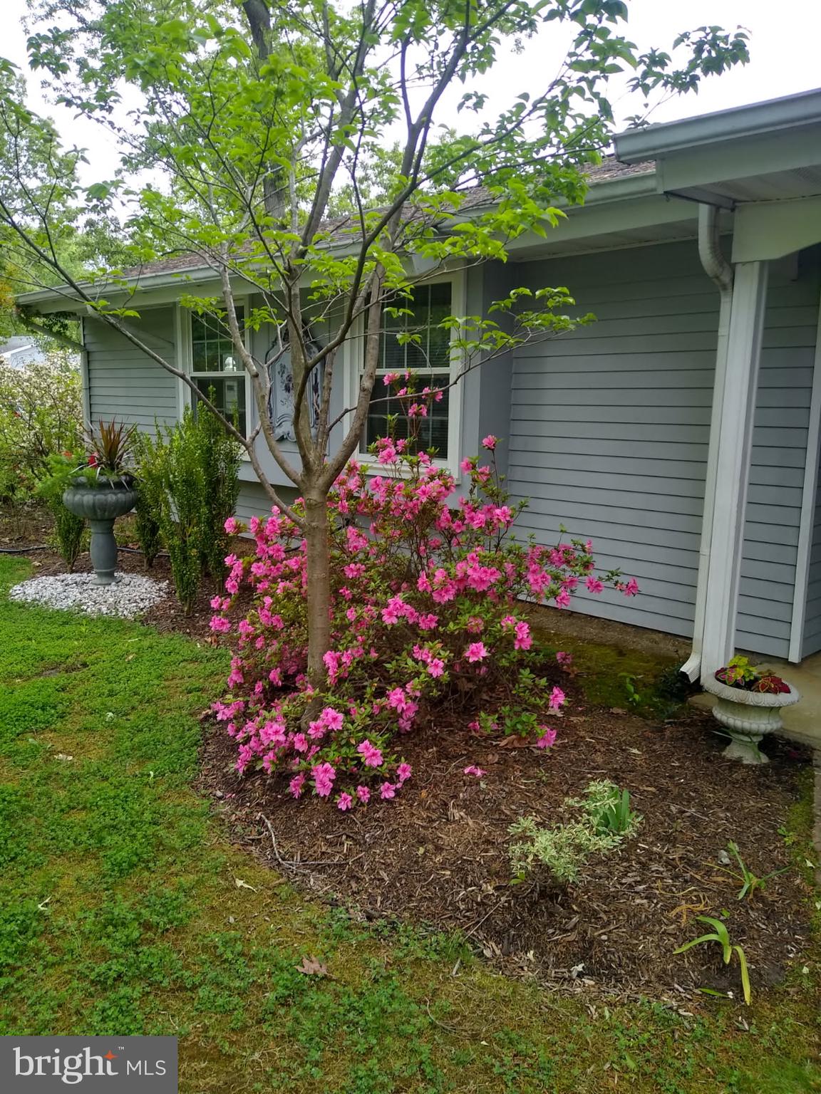 BREEZEWOOD - Residential