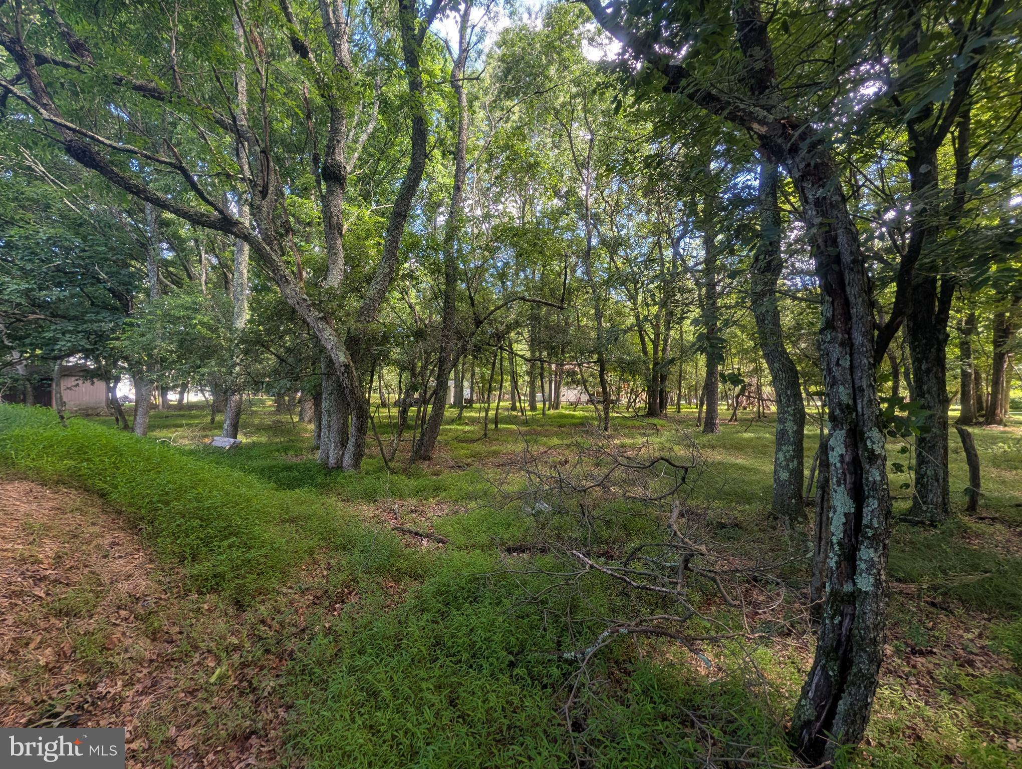 TOWAMENSING TRAILS - Residential