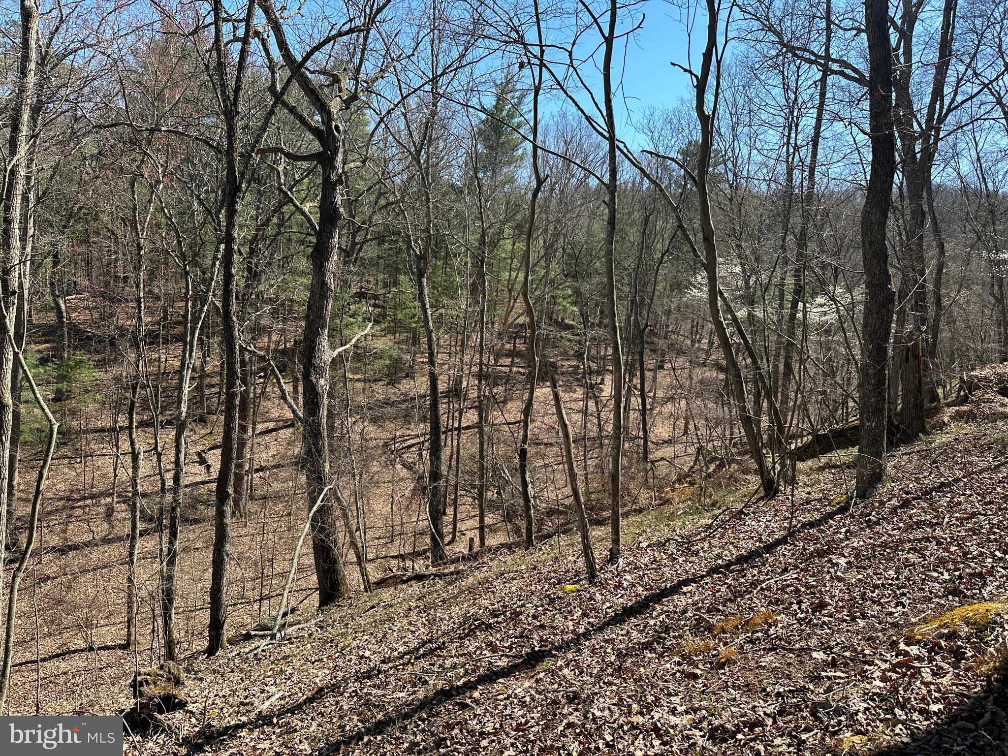 POTOMAC RIVER HILLS - Land