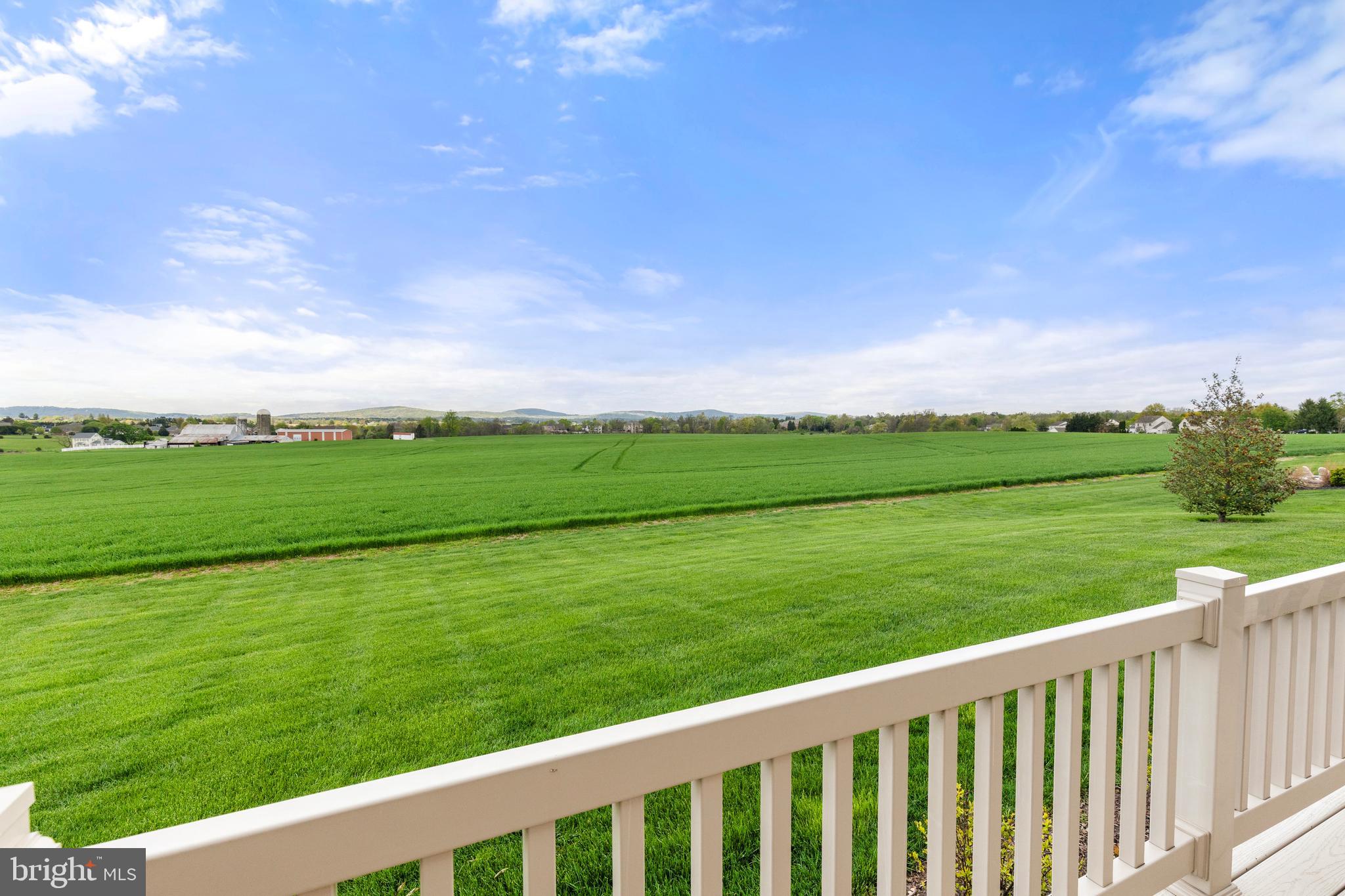 MANCHESTER MEADOWS - Residential