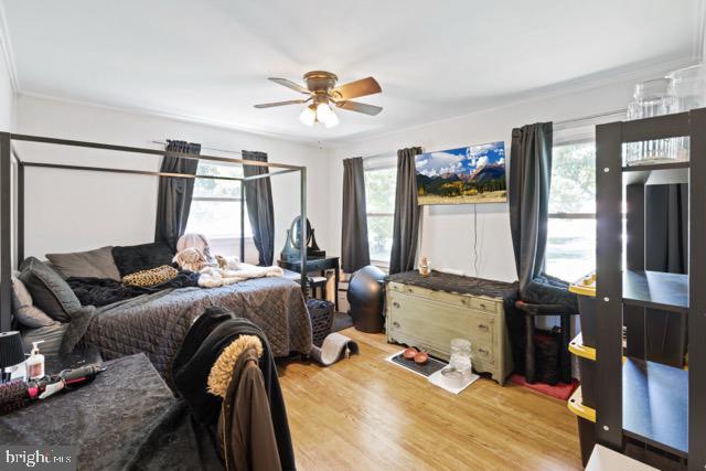 BAREFOOT ACRES - Residential