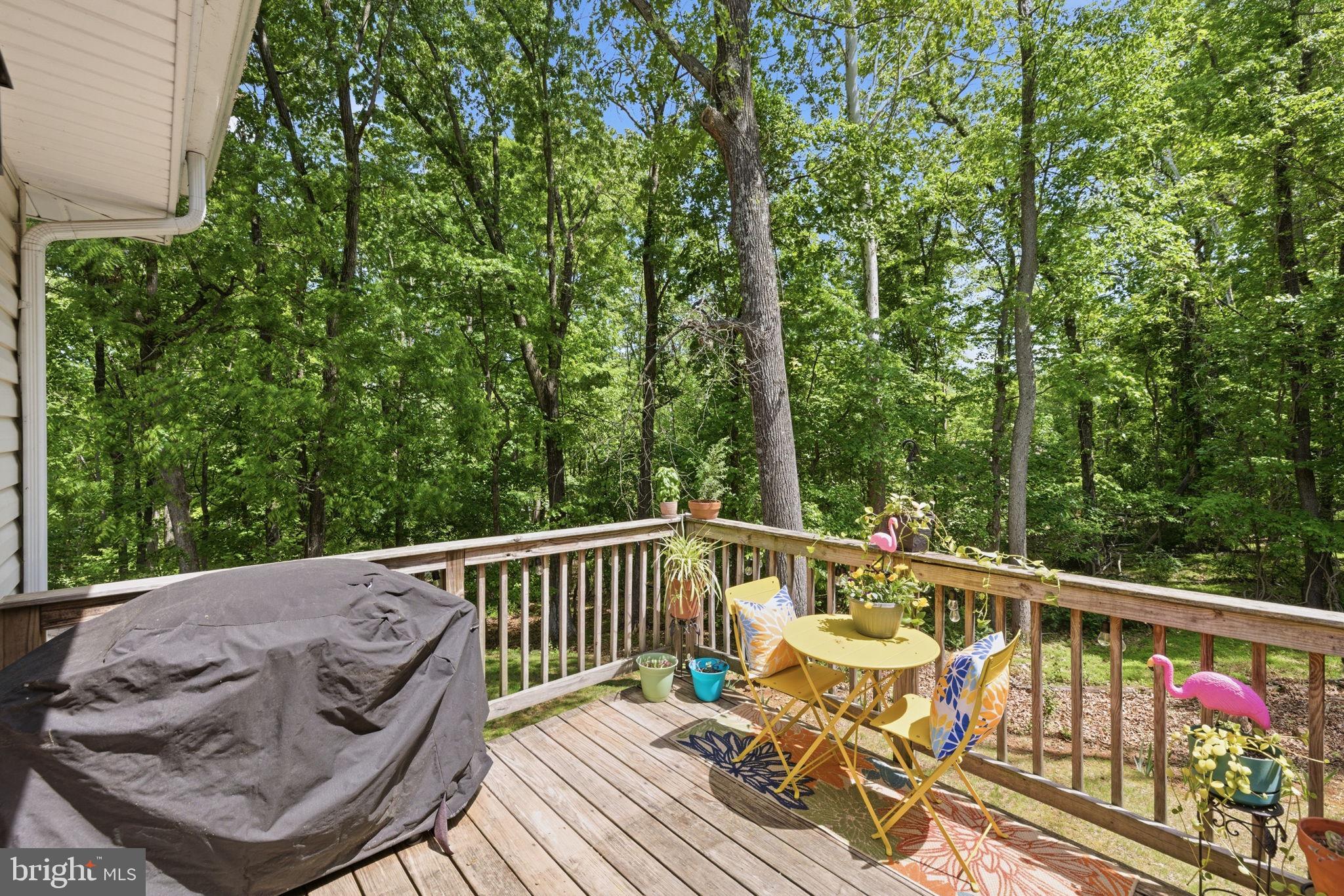 SHENANDOAH RETREAT - Residential