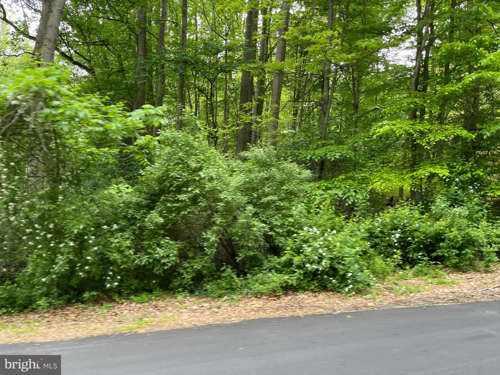 Come fall in love w/ these 56 acres of beauty, just outside Orange. This is a wonderful property with open fields, forested rolling hills, and a running stream. There have been perk sites tested for a 3/4 BR. This property is ideal for a new home, farming, subdivision, or hunting. Located less than 15 minutes from the quaint town of Orange, and only 40 miles to Fredericksburg. This is a perfect country getaway. Whether you're looking for a site to build a country manor, subdivision, build,set up your country camp, or planning to run your ATVs over the hills and through the forest, this property has something for everyone. NO HOA. Also 8 own the 5 acre property beside this one that has another 5 acres and additional road frontage.