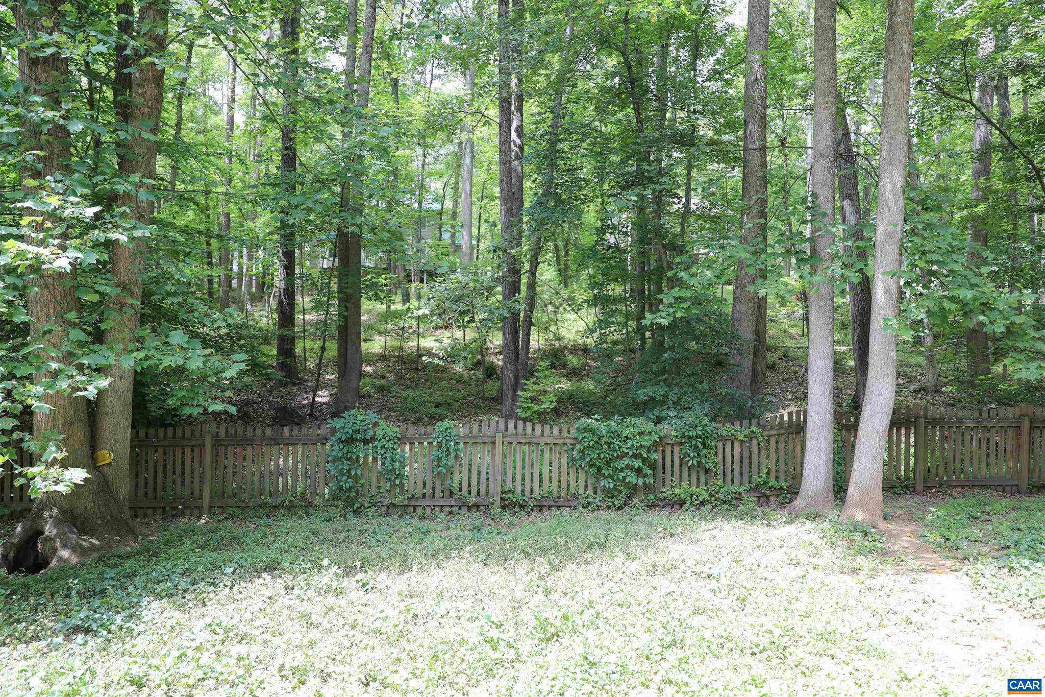 LAKE MONTICELLO - Residential