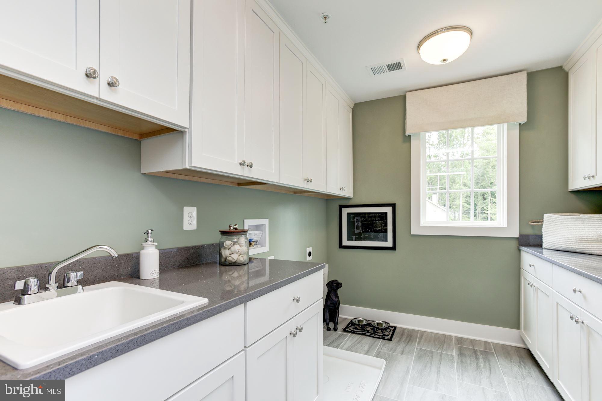 THE PRESERVE AT WYE MILLS - Residential