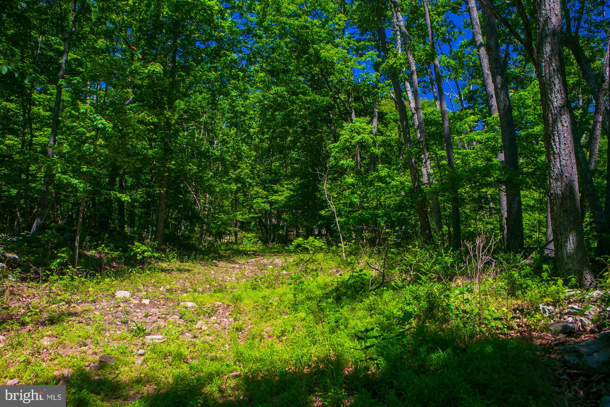 Build your dream home on this spacious 1.49-acre corner lot located in the desirable Shawneeland community. Offering ample space and flexibility for your future home, this property is ready for its next owner to bring their vision to life.  With a reasonable offer, the seller will provide two sets of architectural plans to help jumpstart the building process:

Plan #1: Approximately 1,541 square feet on the main level featuring a 2-bedroom, 2-bathroom ranch-style home with a four-season room and full basement.
Plan #2: Approximately 1,797 square feet featuring a 2-bedroom, 2-bathroom ranch-style home on a crawl space.

Whether you're looking for a weekend retreat, retirement home, or full-time residence, this property offers an excellent opportunity to build in a scenic mountain community. Shawneeland is managed by the Sanitary District by Frederick County, providing community infrastructure and services while maintaining the area's natural beauty.  Don't miss this chance to own a large homesite with valuable building plans included and begin creating the home you've always wanted.