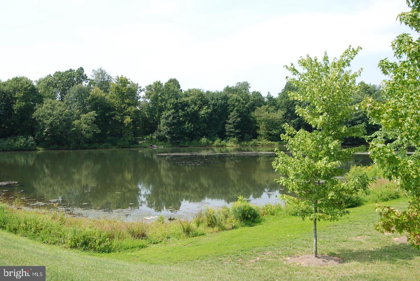 KENTLANDS - Residential