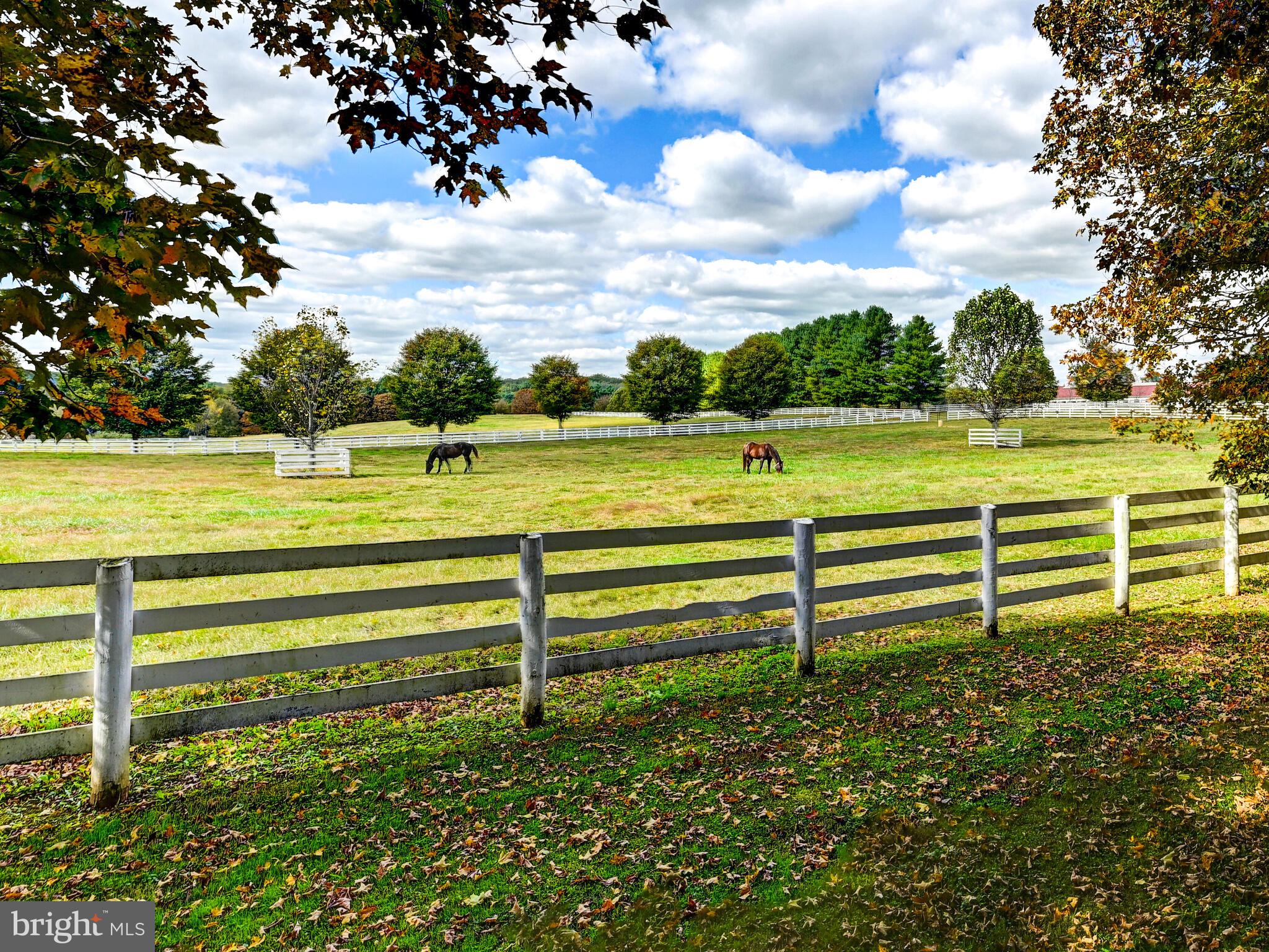 WORTHINGTON VALLEY - Farm