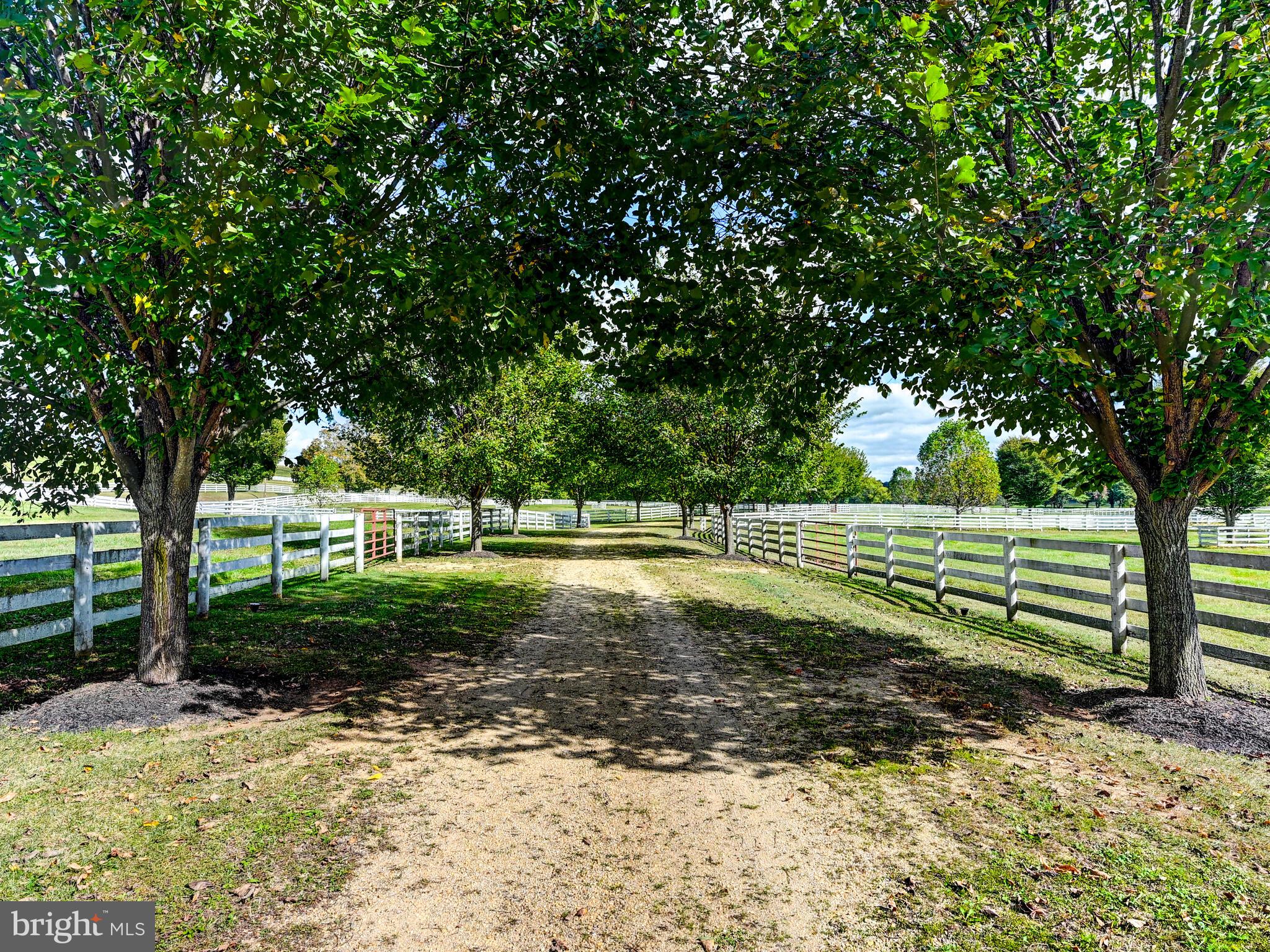 WORTHINGTON VALLEY - Farm