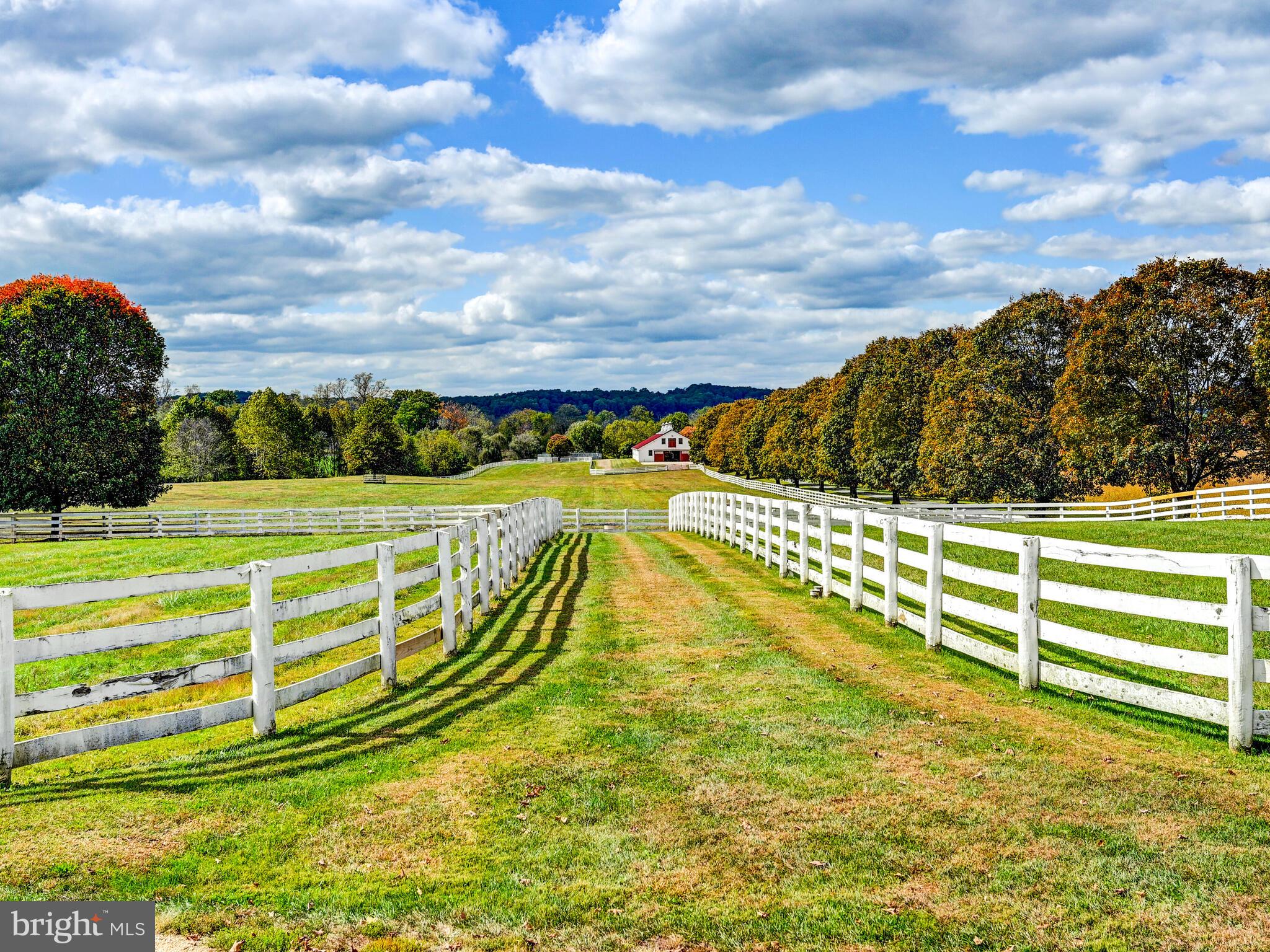 WORTHINGTON VALLEY - Farm