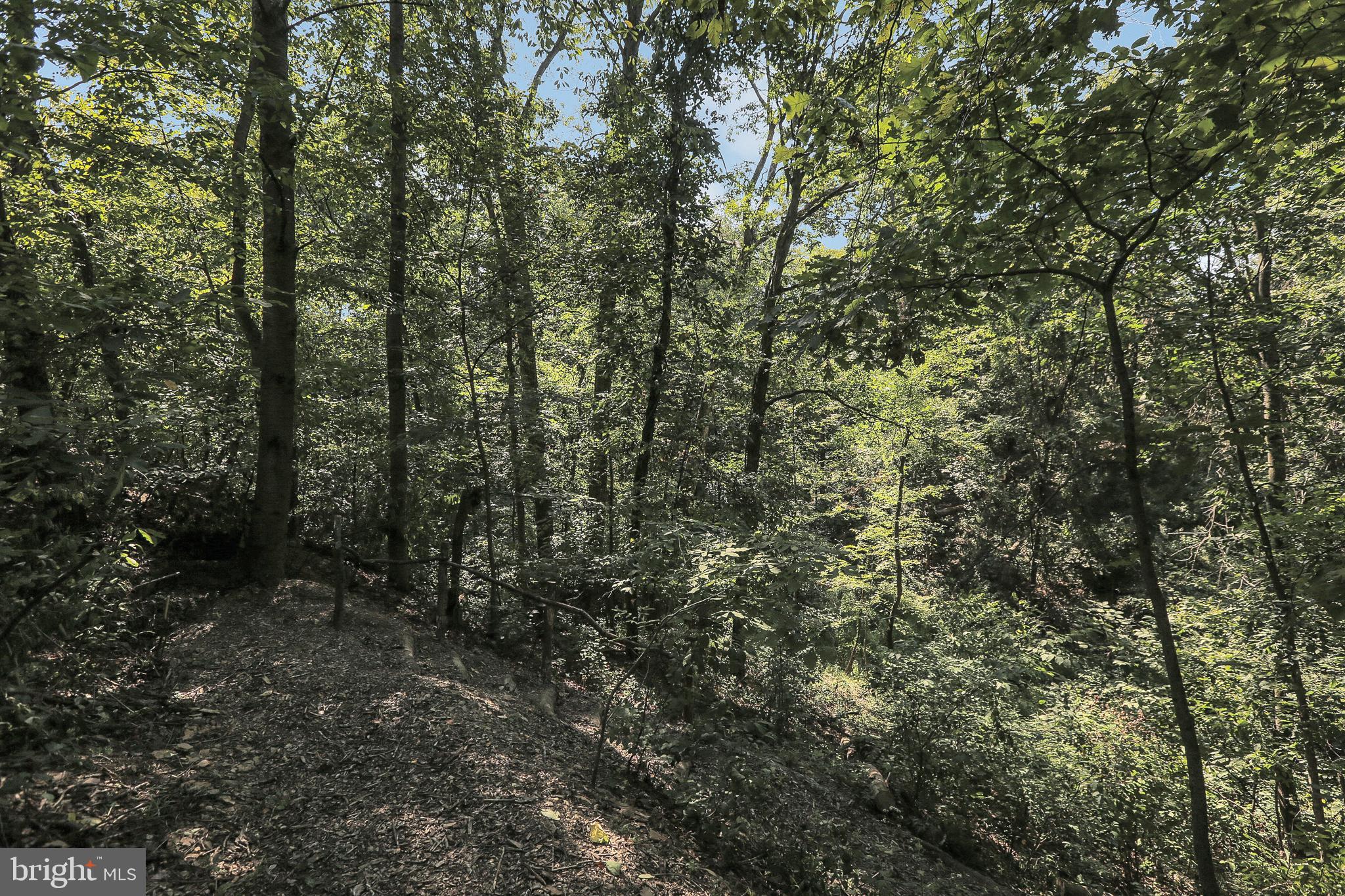 PINEHURST HILLS - Residential