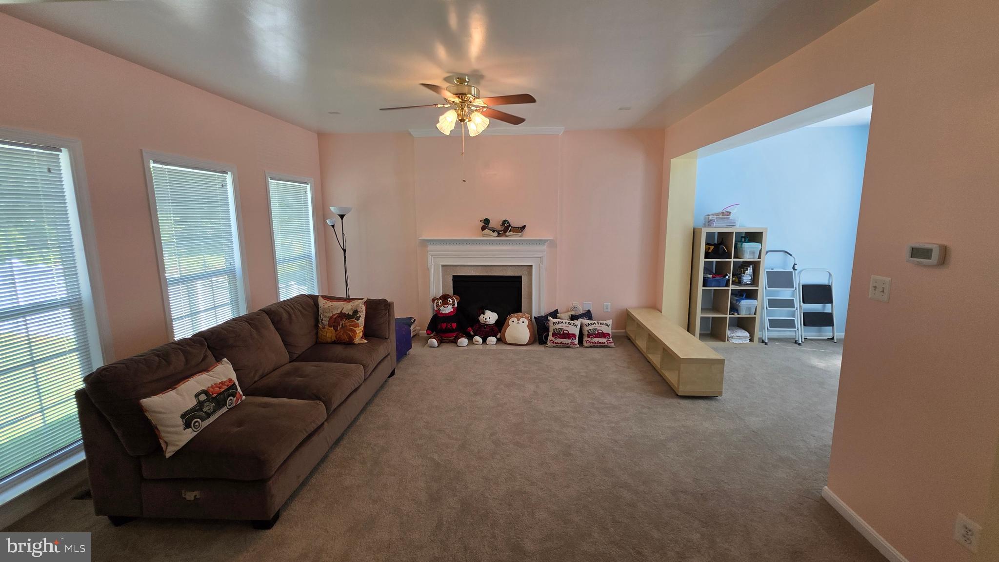 LANIER FARMS - Residential