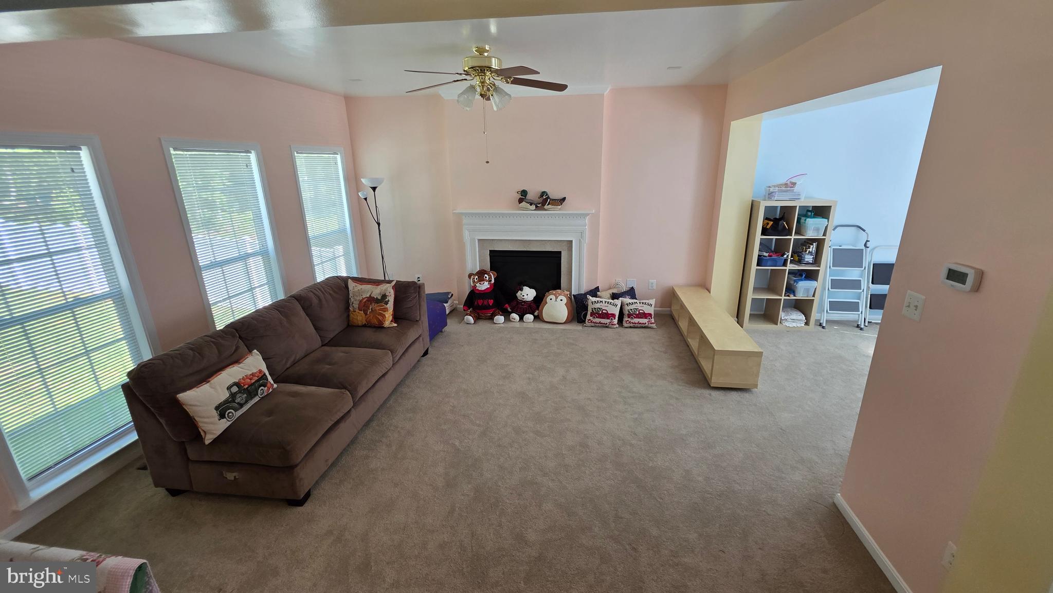 LANIER FARMS - Residential