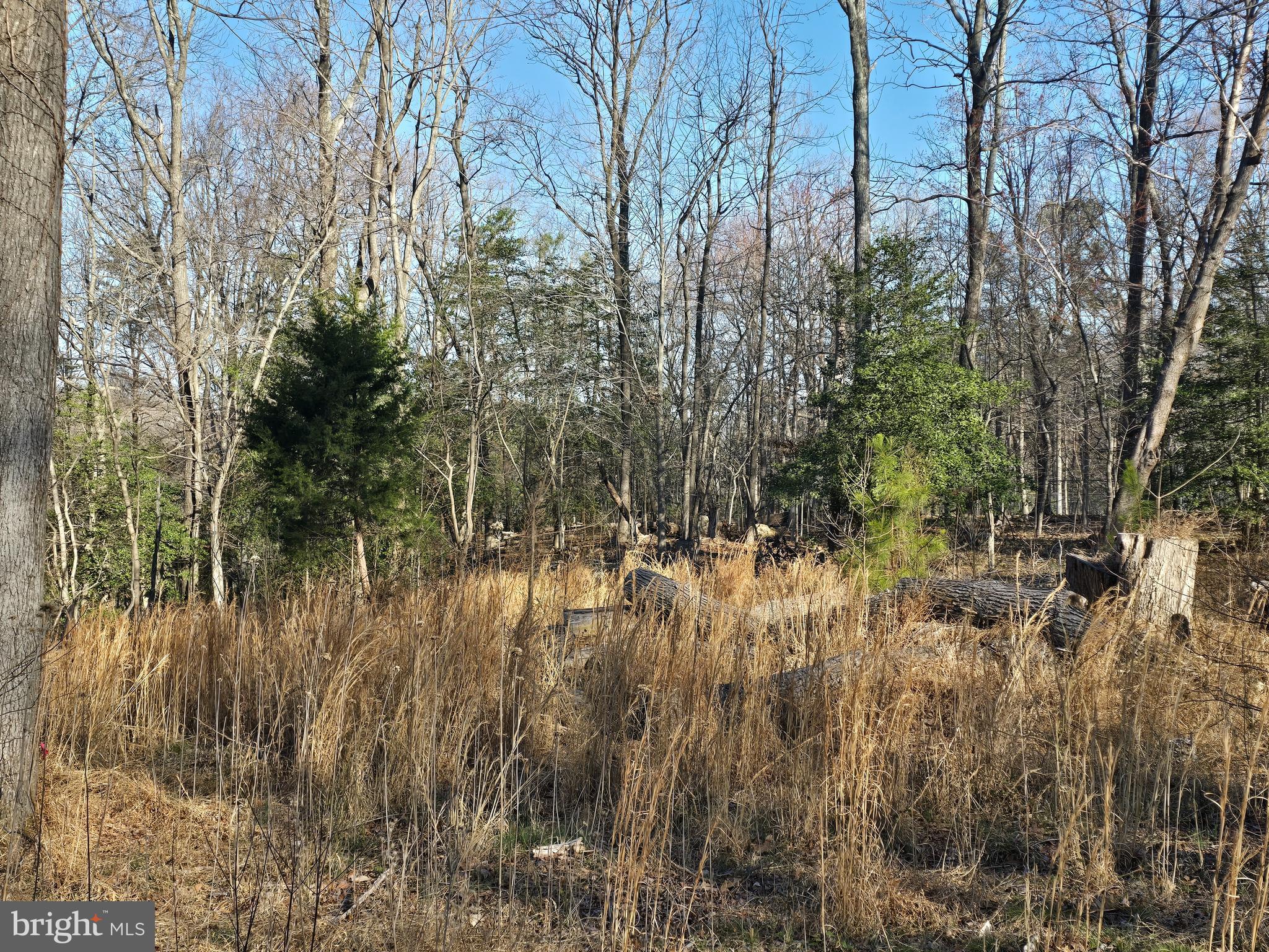 Your 2026 Dream Home Starts Here!

Stop searching and start building! This prime 0.38-acre lot on Angler Drive offers the ultimate Northern Neck location with the marina just down the road. Whether you're an avid boater or a weekend angler, the Potomac River and Lake Independence are close by.  Site and Soil Evaluation completed 2021. See the document section for more information. Simply secure your permits and bring your vision to life! Enjoy the leisure amenities of Stratford Harbour, including Shark Tooth Beach, an outdoor pool, clubhouse, playgrounds, and community boat ramps. Your tranquil lifestyle is waiting.