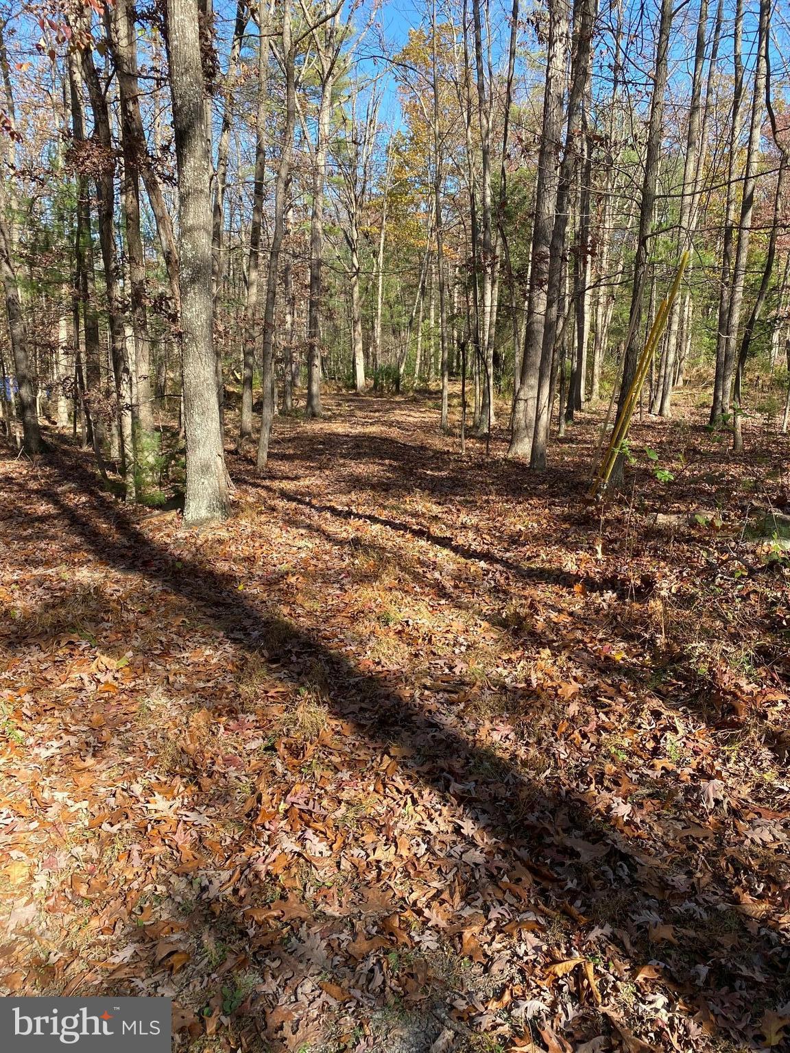 Want to escape to nature and trees but still stay connected?  Relax on  2+ acres located near the George Washington National Forest with access to fiber optic internet.  Level, wooded lot  within a short walk of thousands of acres of National Forest.  Build your getaway, hunt on your land, and explore treasures of WV, Lost River State Park, Trout Pond, nature trail hikes, biking and fishing.  Property has the beginnings of a getaway cabin with a block foundation and cabin logs apart of the land purchase.  Public water is available/septic perc approved.   Close to Wardensville for shopping and dining.  Easy access to Corridor H/Rt. 48 and less than 30 minutes from I-81.  Don't miss out on this exceptional opportunity!