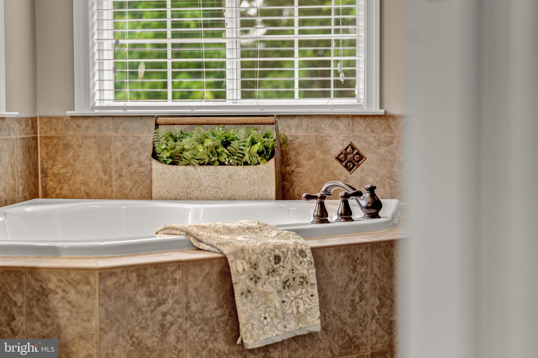 THE REGENTS AT LAKE MANASSAS - Residential