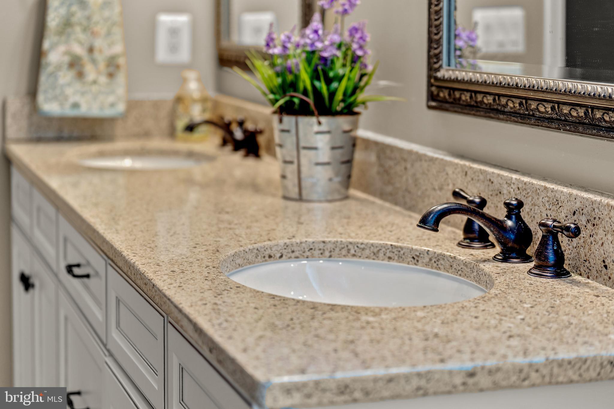 THE REGENTS AT LAKE MANASSAS - Residential