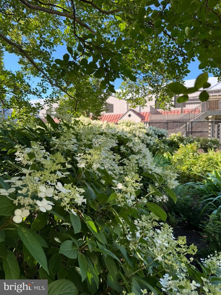 REGENCY AT MCLEAN - Residential