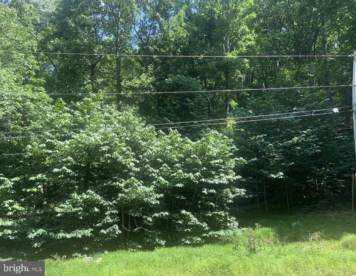 A great 2.49 acre private lot in the gated community of High Knob where you can build your own custom home. Nature lovers dream location that includes great amenities! A swimming pool, club house, tennis courts with tennis court, trails that include access to the Appalachian Trail. Abundant with wildlife and nature views right in your own backyard in addition to glorious sky views at the elevation of this lot. Community water.  Easy commute to 66 and only a few miles from downtown Front Royal. Don't miss the chance to build the home of your dreams in your own serene retreat.