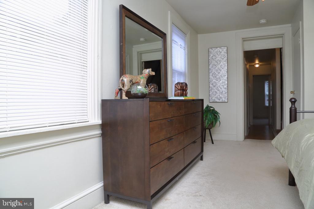 CHESTNUT HILL - Residential