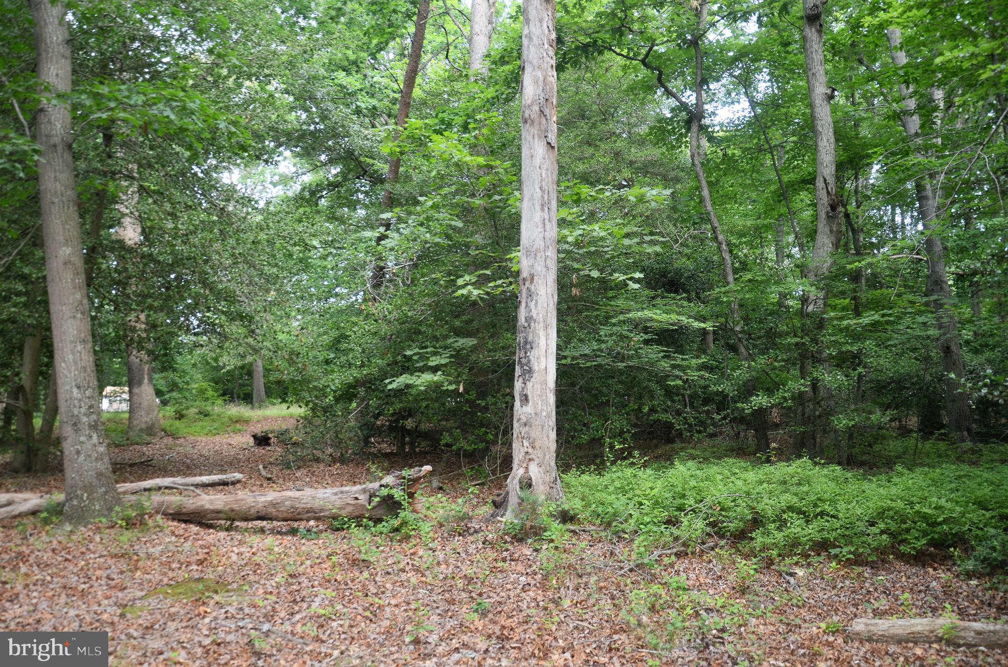 CEDARLAWN - Land