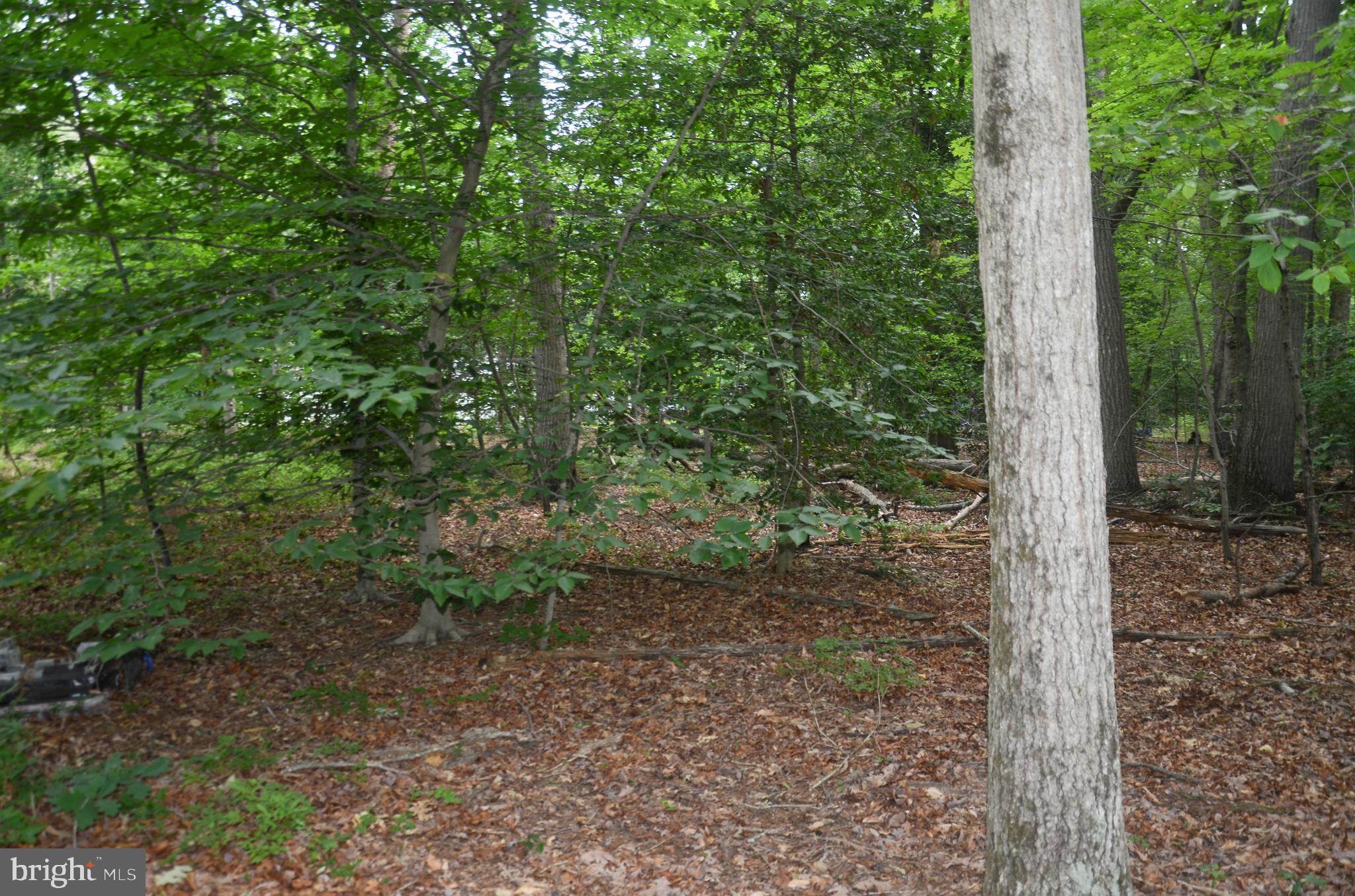 CEDARLAWN - Land