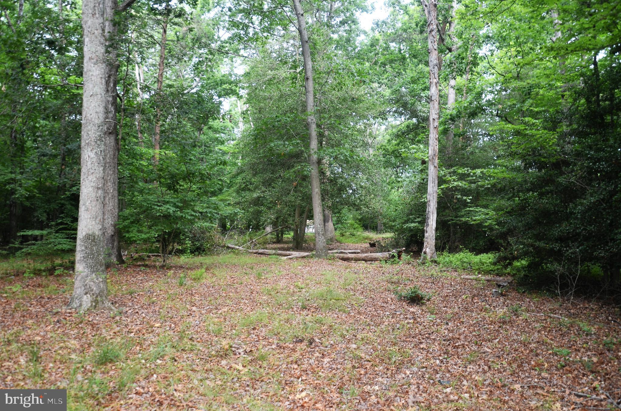 CEDARLAWN - Land