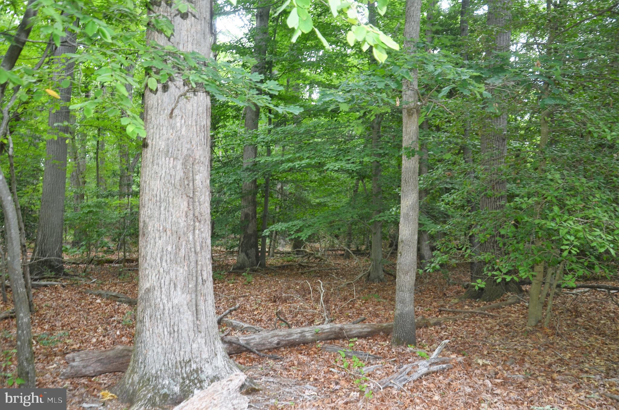 CEDARLAWN - Land