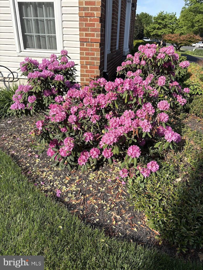 WAVERLY CROSSING - Residential