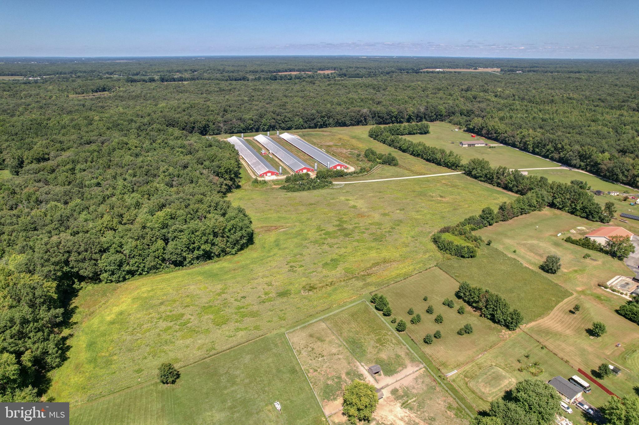 NONE AVAILABLE - Farm