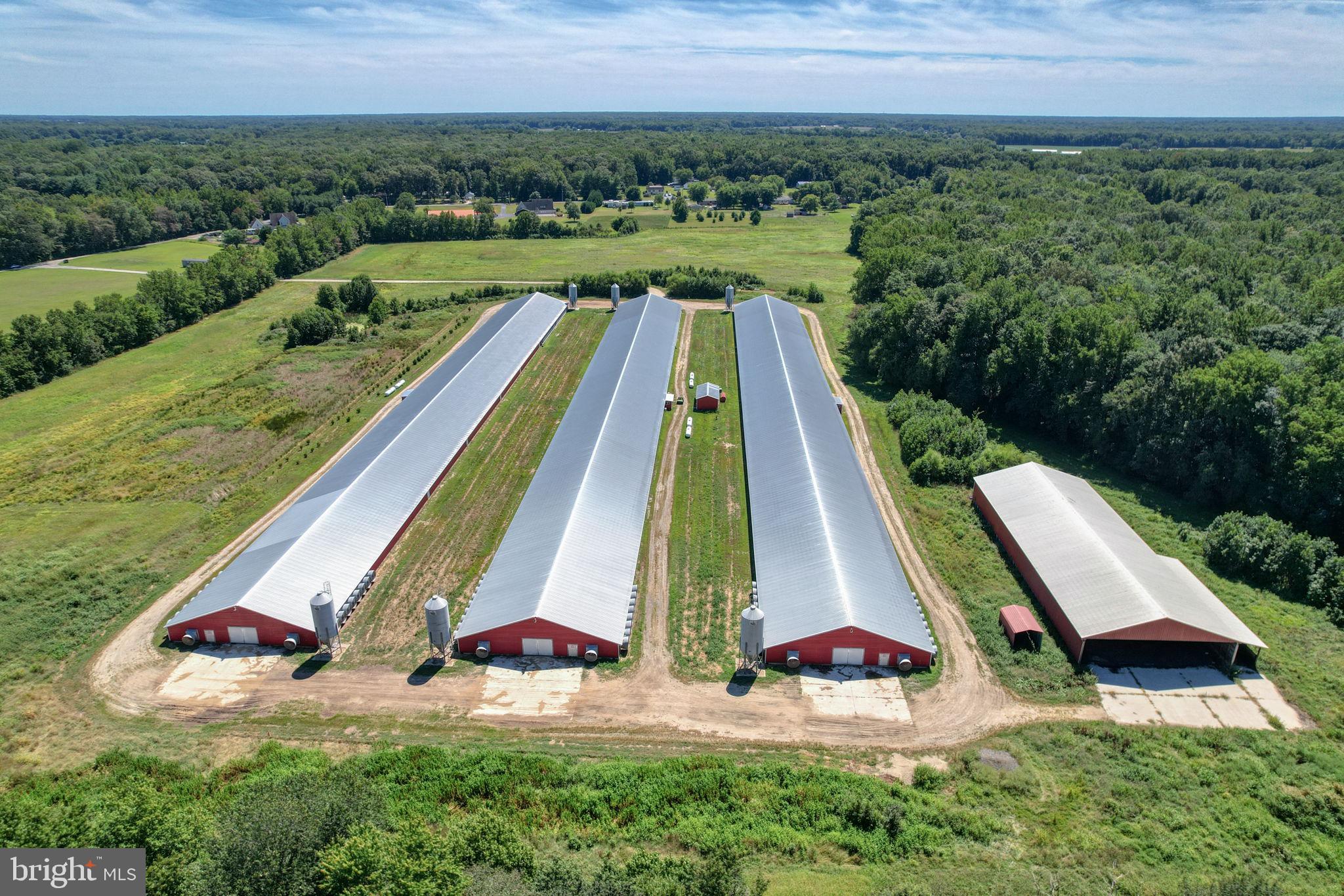 NONE AVAILABLE - Farm
