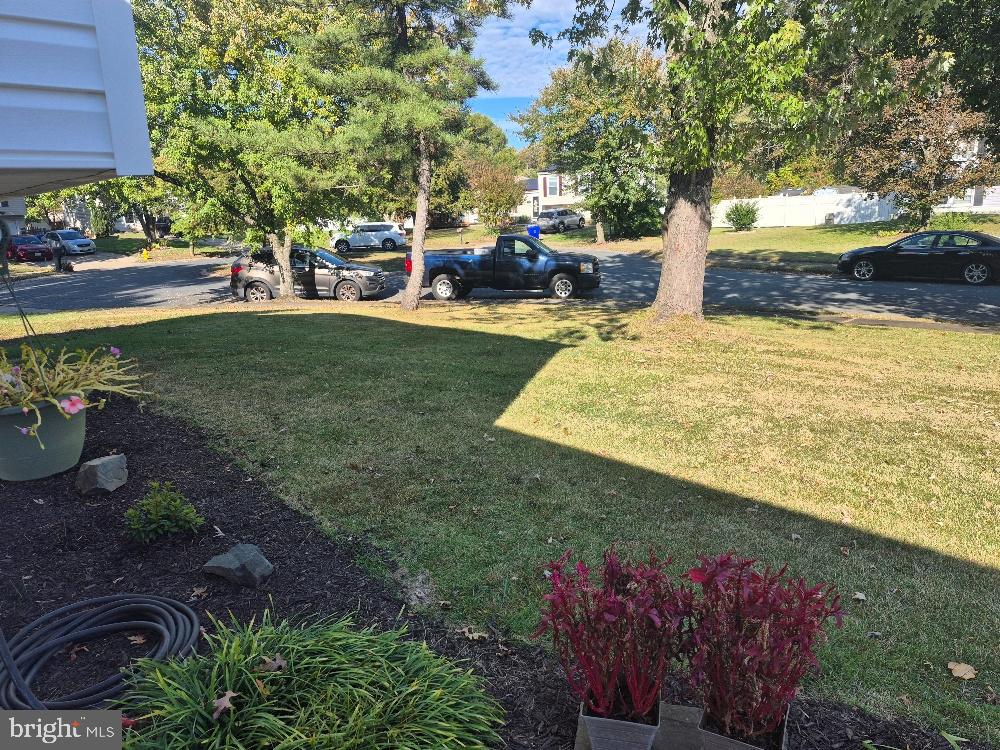 PINEFIELD - Residential