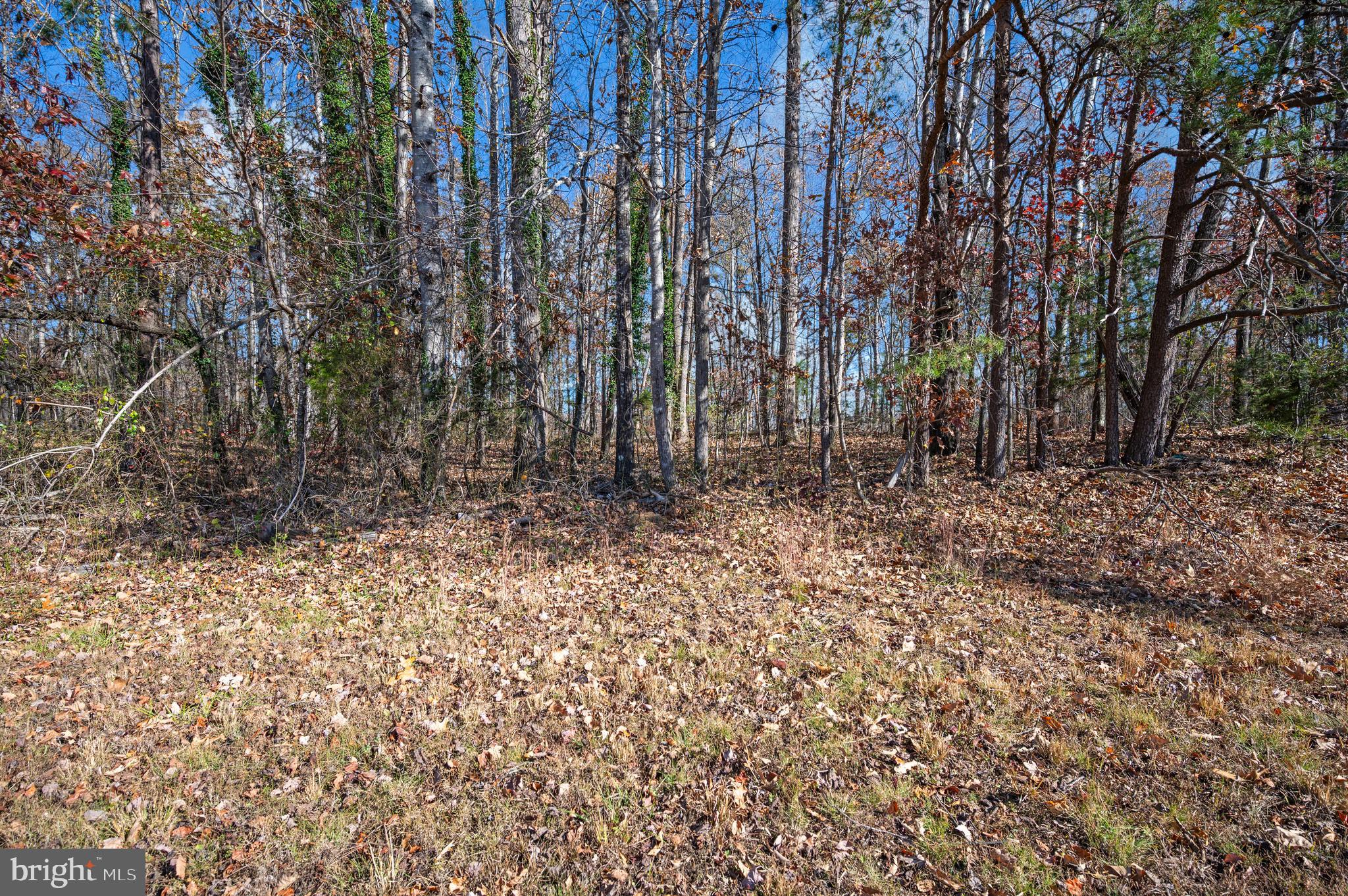 SCOTTS MT NORMAN ACRES - Residential