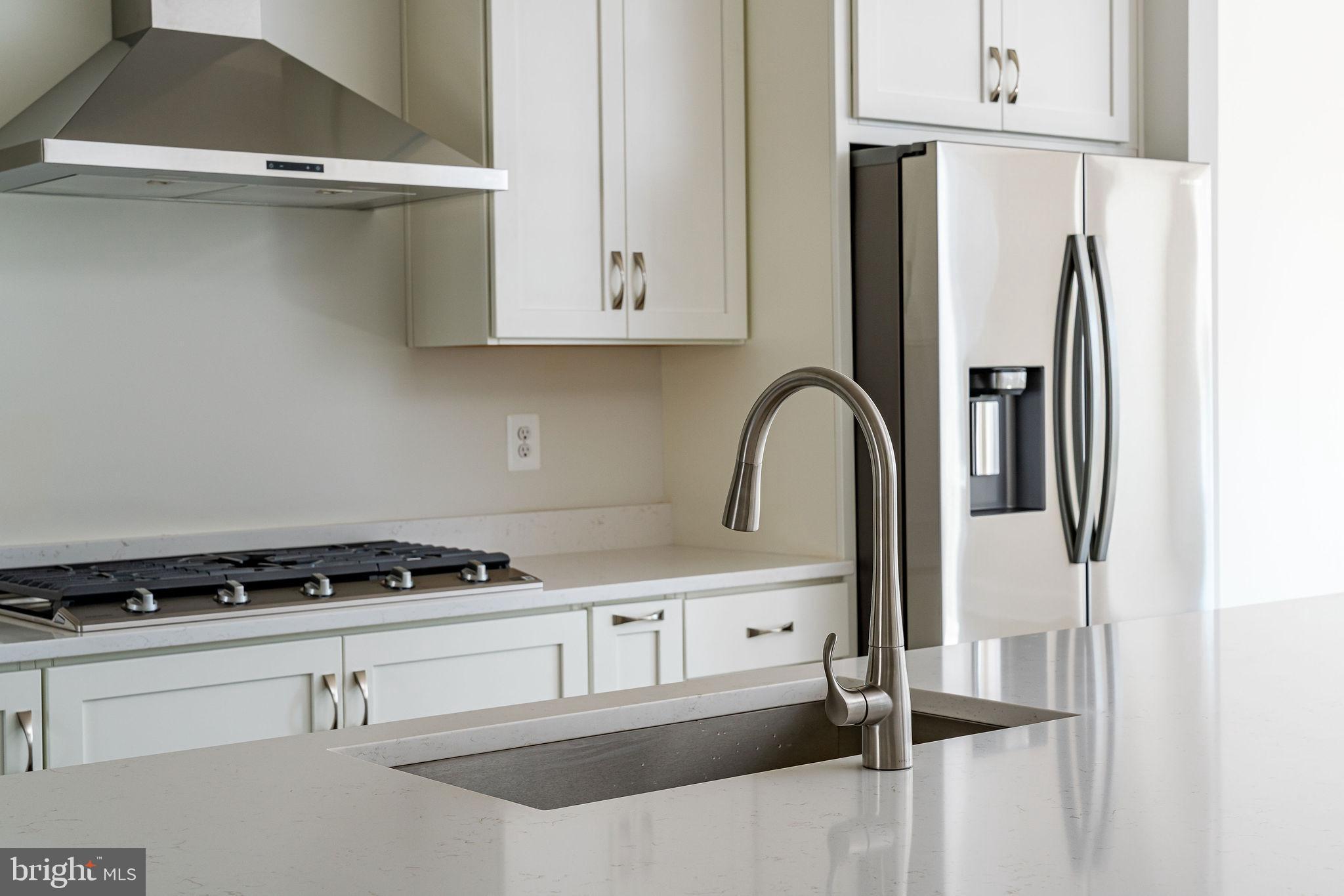 BIRCHWOOD AT BRAMBLETON - Residential