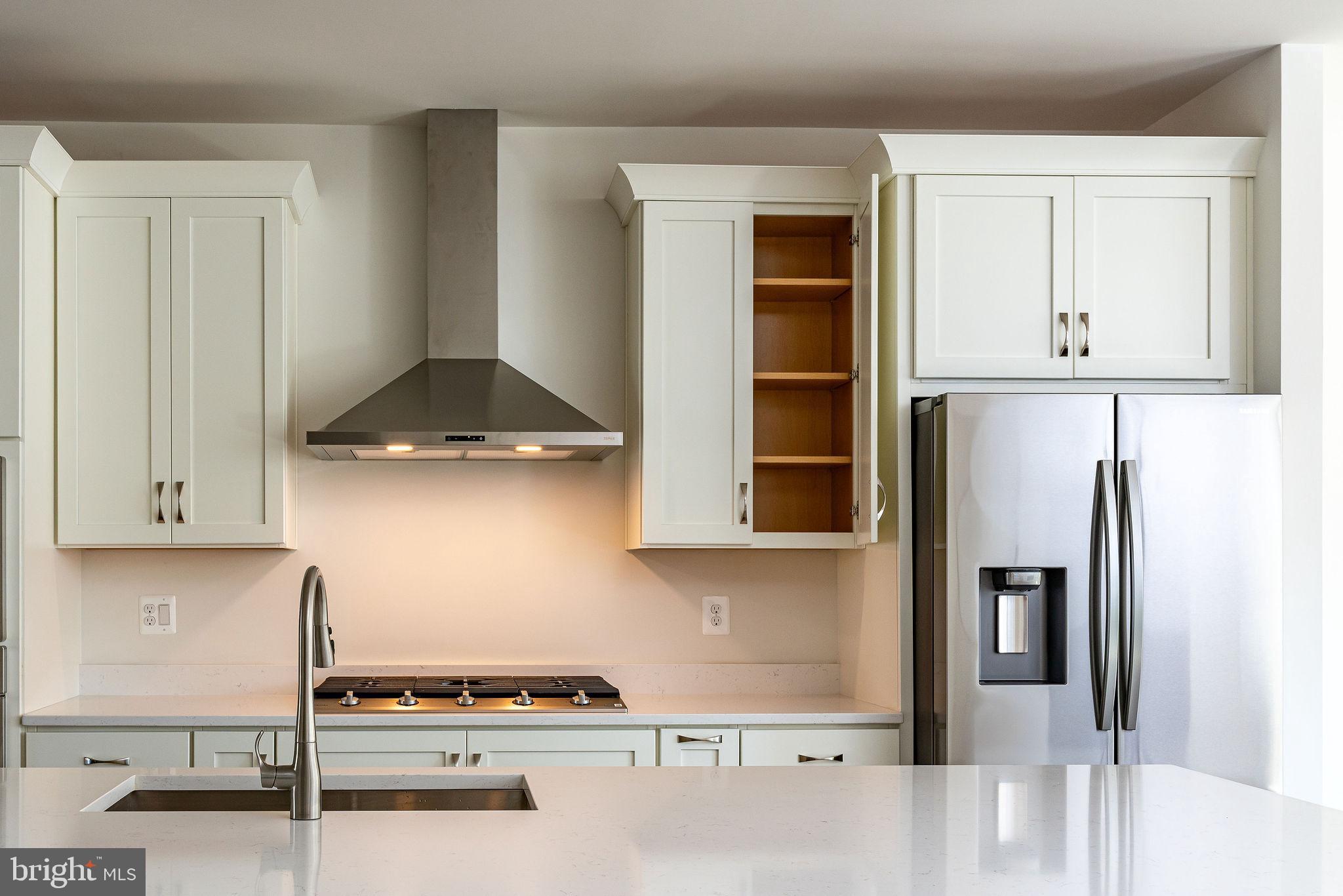 BIRCHWOOD AT BRAMBLETON - Residential