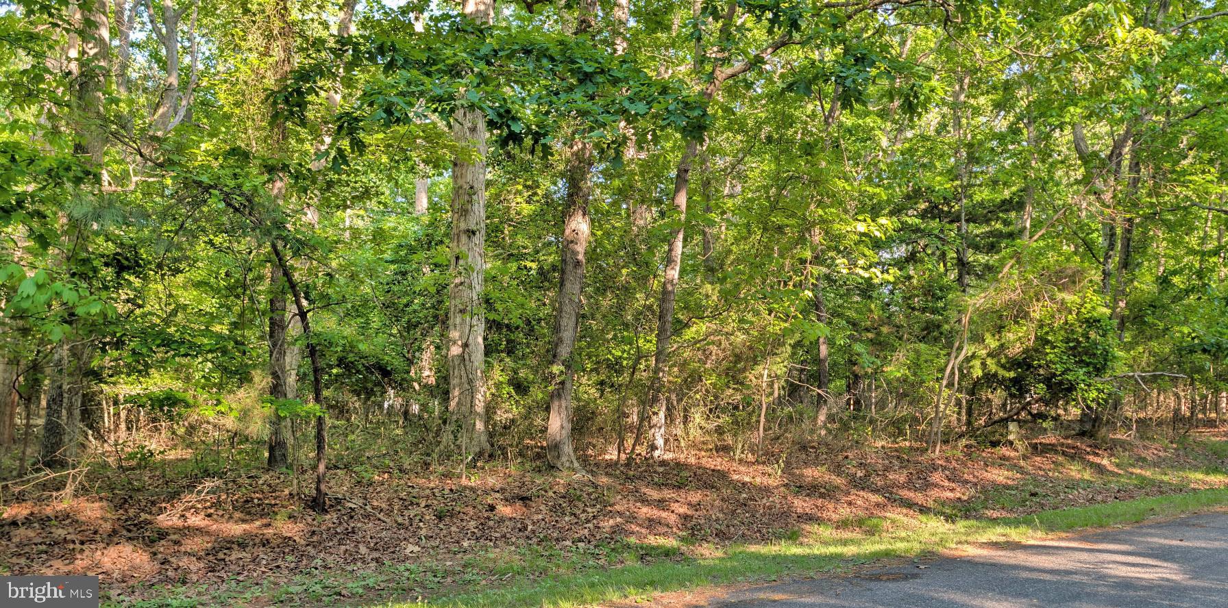 This beautiful lot nestled on a quiet court is the ideal place to build your new home or vacation get away. There is a 4 bedroom perc letter in the documents. Buy now and build later. No builder tie in. Start enjoying all that Captain's Cove has to offer. Features include indoor & outdoor pools, a restaurant, banquette rooms, fitness center, basketball & tennis courts, boat launch, playground, security and so much more! All included in the HOA!