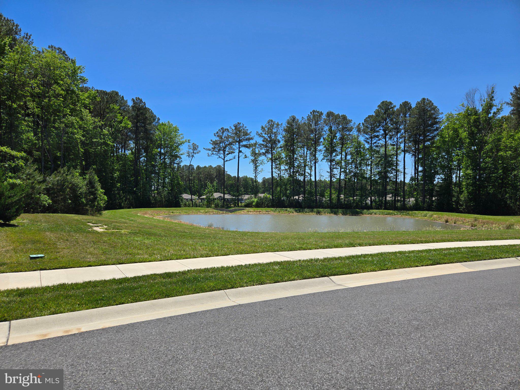 WOODS AT BURTON POND - Residential