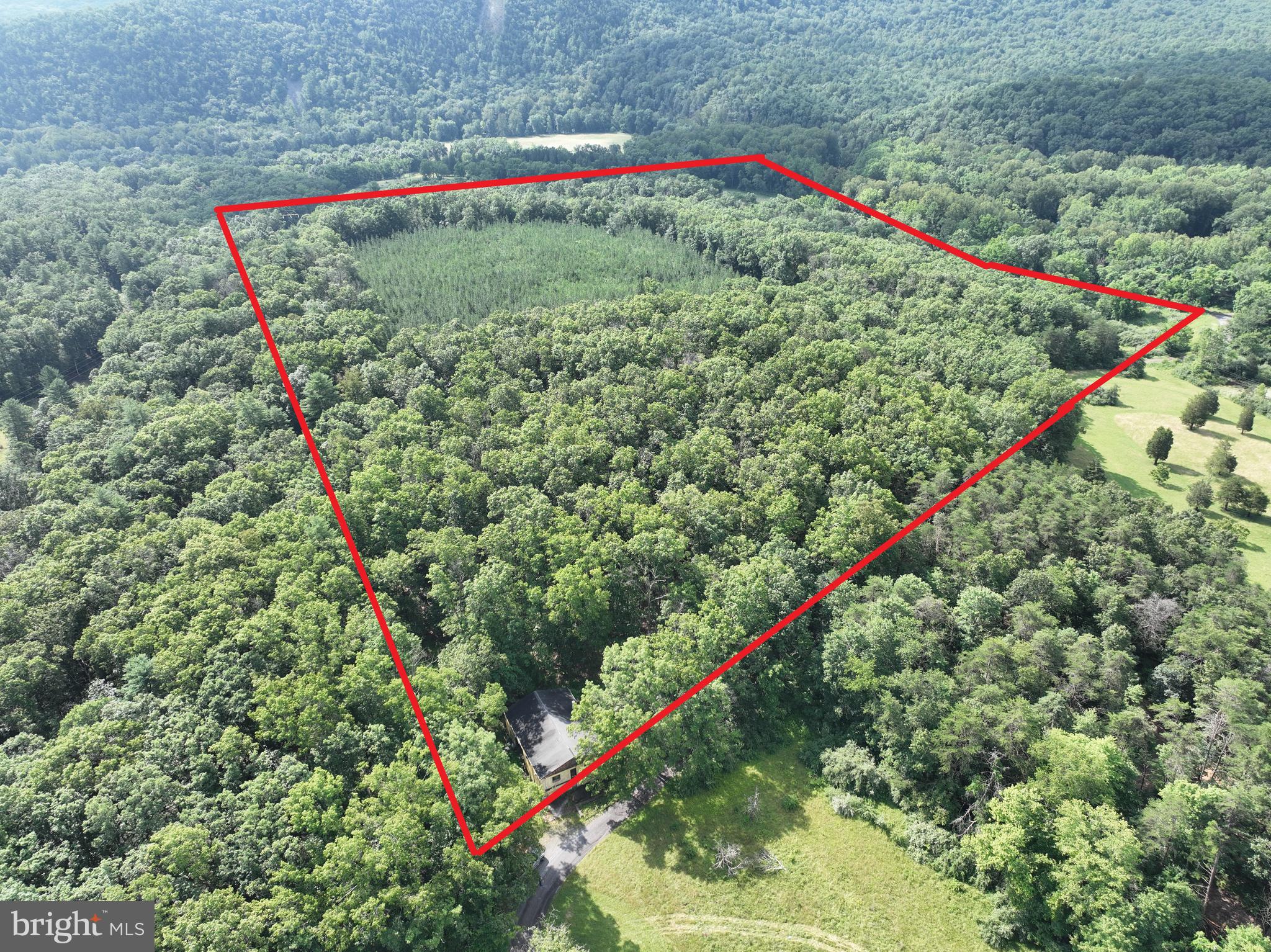This is it—the kind of land folks talk about owning but rarely find. 26.33 acres of prime, unrestricted ground in Hampshire County, West Virginia, where you can hunt, build, shoot, ride, or just be left alone. No HOA. No nonsense. Just big timber and wide-open opportunity. The lay of the land is as close to perfect as it gets—level to gently rolling, easy to walk, even easier to build on. It’s loaded with mature oaks and dense stands of pine, creating ideal bedding and cover. This is high-quality habitat: big bucks, bear, turkeys—real mountain game, not backyard critters. If you're looking to fill tags and freezers, this place delivers. You've got long county road frontage and multiple prime building sites. Throw up a cabin, bring the RV, or go full throttle with a permanent homestead. Your land, your rules. On-site is a solid, nearly 2,400 sq. ft. multi-bay garage structure, originally built with living quarters in mind. It’s ready for a revival—convert it into a man-cave hunting lodge, a gear-packed workshop, or a weekend headquarters that’ll make your buddies jealous. A well and septic system are already in place. You’re not starting from scratch—you’ve already got a head start. The best part? You’re just 40 minutes from I-81 and an easy two-hour drive from the D.C. metro. Slip out Friday night and be in your stand by sunrise. Stay all weekend and reset your soul. This isn’t some soft, scenic lot with picnic vibes. This is real-deal land for real folks who want space, freedom, and firepower-level potential. Lock it down before someone else does.