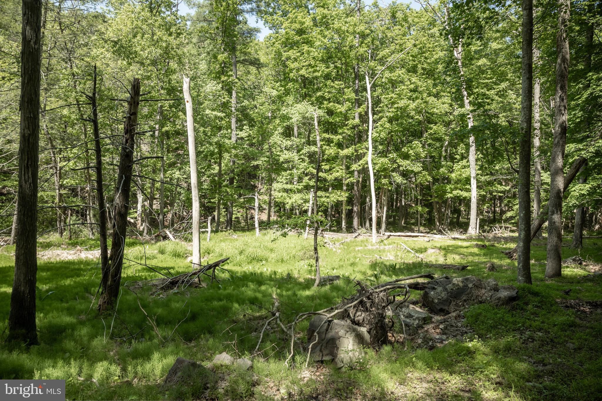 ASHTON WOODS - Land