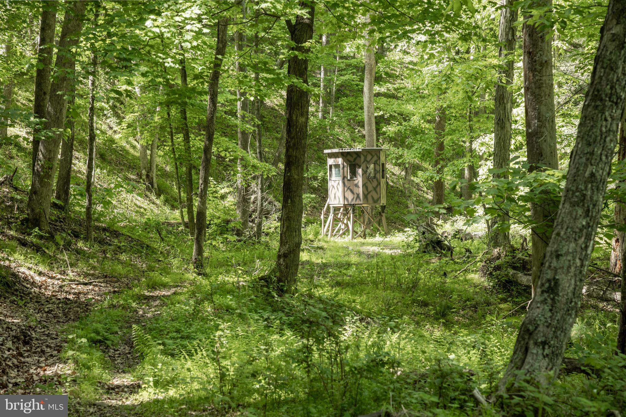 ASHTON WOODS - Land