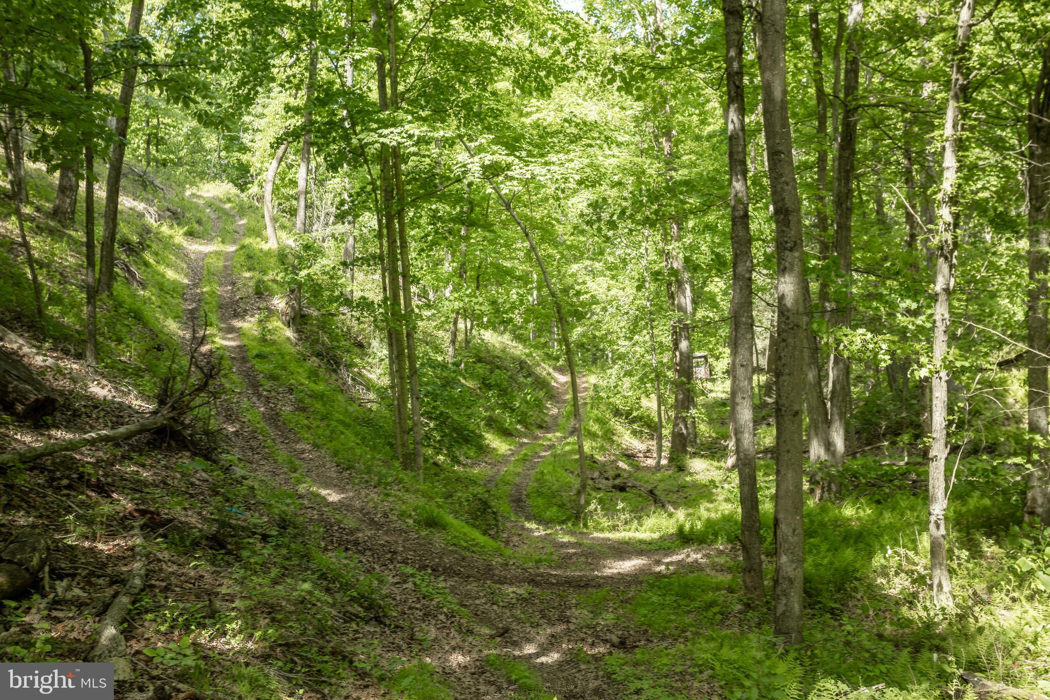 ASHTON WOODS - Land
