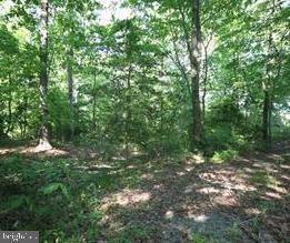 CHESAPEAKE RANCH ESTATES - Land