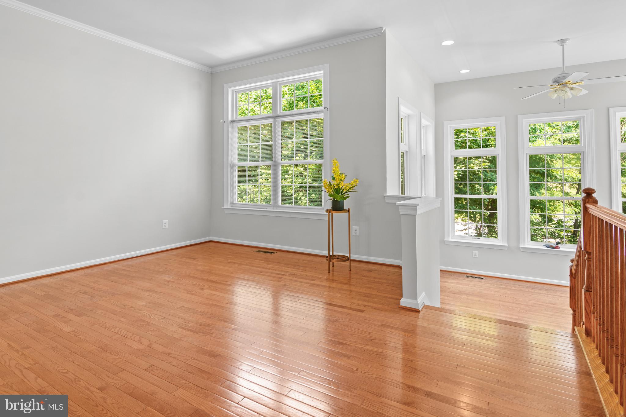 RIDGEVILLE HEIGHTS - Residential
