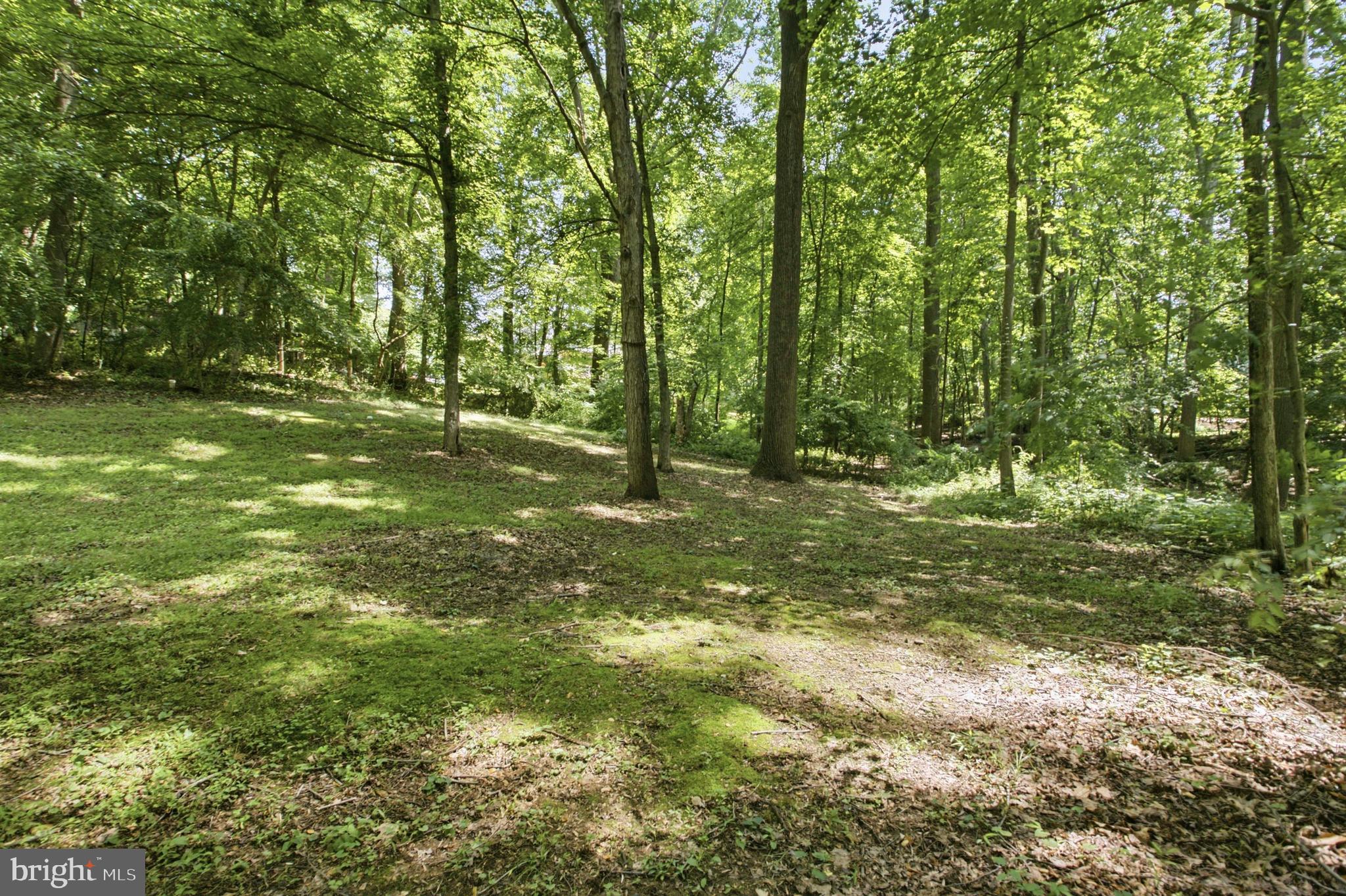 BRANDYWINE SUMMIT - Residential
