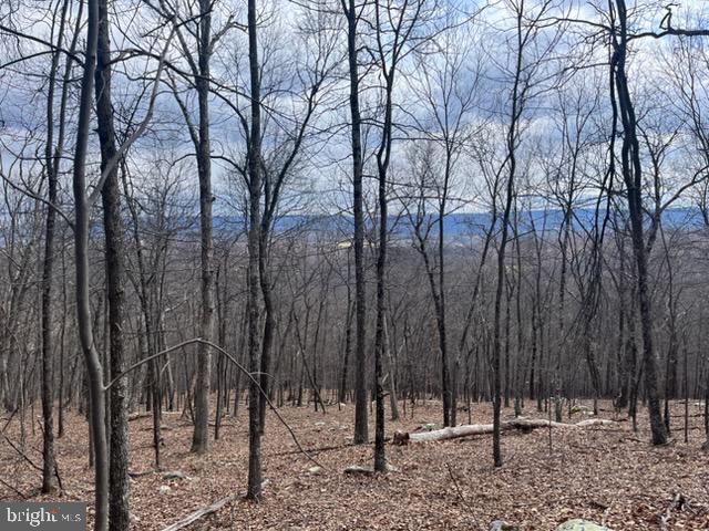 QUAINT HILLS MOUNTAIN SECTION - Land